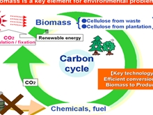 生物質(zhì)能的利用技術